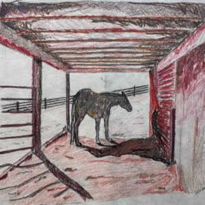 carter shannon image2