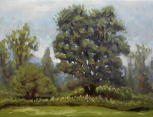 leventhal heartytreeVT